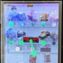 마운틴 노래연습장 이미지