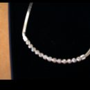 샤로브냐 이미지