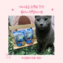 (주)덴탈마켓 | 고양이 치아 관리 까다로운 노령묘 간식 퓨리나 덴탈라이프