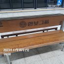 [임장후기] 대치의 가을🍁과 함께한 임장