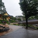 수국사 이미지