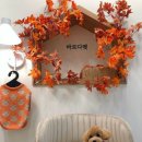 바르다펫 꿈의숲점 이미지