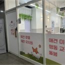 개좋은 유치원 이미지