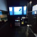 쥬코인동전노래연습장 이미지