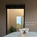 레이즈어라운드 이미지