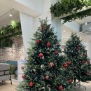 더나은커뮤니티 이미지