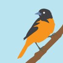 물방울 리얼 골프존 이미지