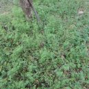 초심농장 이미지