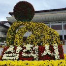 삼척시 문화예술회관 광장 이미지