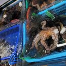 은주수산 이미지