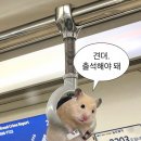너울횟집