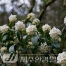 한라전설(주) 이미지