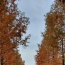 다누리골테마파크 이미지