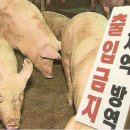 이가렉카 - 서구 화정로179번길 19-2 | 이가렉카