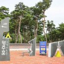 다목적 잔디광장[도농-3] | [경상북도 영주시] 영주호오토캠핑장