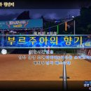 에스티발 티스토리