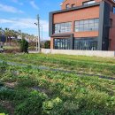 하모리-43 이미지