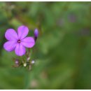 [소확성] 송숙희의 돈이 되는 글쓰기 이미지