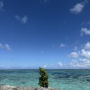 씨유양산남부퍼플점 | 3박5일 괌 4일차 자유여행 내돈내산 코스💙🌴🎄 : 남부투어(2)