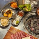 광교갈빗살
