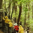 봄정형외과의원 이미지