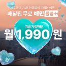 배민클럽 무료체험 해지 후기, 배달의민족 UX 깔끔하다