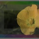 멍사랑 | 사랑받는 사람과의 멍 치료 후기