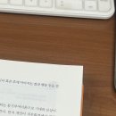캡틴크래인