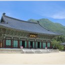 일지춘(한국 하이쿠 2-59) 운문사 보전(雲門寺寶殿)/반산 한상철 이미지