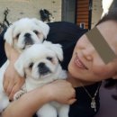 매화로2길 이미지