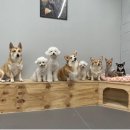 라이크멍 이미지