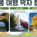 신당마을회관 이미지