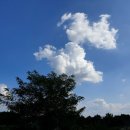 화창 태양광발전소 이미지