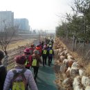 분당-323 이미지