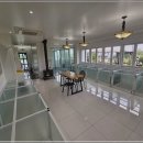 강아지 보호센터 이미지