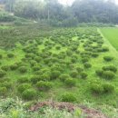 광산구-011 이미지