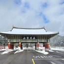 평창 상원사 목조문수보살좌상 복장전적 이미지