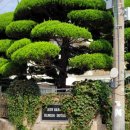 항도모텔 이미지