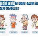 비브리오패혈증 비브리오 패혈증 감염경로 비브리오 패혈증 예방법 방법 치사율 비브리오균 이미지