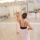 한국무용(초급) Daum카페