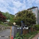 수리산돌솥쌈밥 | [등산] 수리산 등산 후기 (안양상고 - 관모봉 - 태을봉)