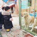 상원어린이집 이미지