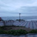 봄 여름 이미지