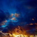 집중력바둑 이미지