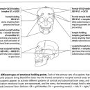 Chapter 36. Emotional Stress Defusion Emotional defusion points 이미지