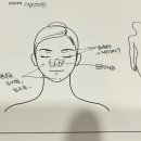 샐리에스테틱