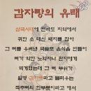 장평2로 | 거제 장평동 감자탕·해장국 맛집 <진뼈 감자탕> 얼큰한 해장국 한 그릇!!