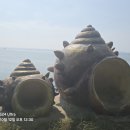 고살메갈꽃체험마을 이미지