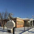 수원시 종합자원 봉사센터 | 반려마루 화성 강아지입양센터 유기견 봉사 주말 후기