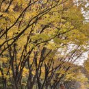 2025.11.09 정모 (photo by 이명현) - 2 이미지